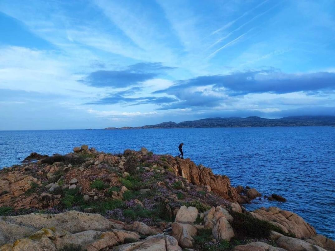 Casa Mughetto R5055 Seafront, Private Sea Access, Swimming Pool Villa La Maddalena  Ngoại thất bức ảnh